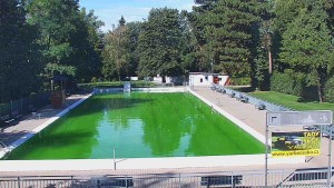 Koupaliště Bystřice pod Hostýnem - Bazén - 16.9.2026 v 10:45 Koupaliště Bystřice pod Hostýnem - Bazén - 16.9.2026 v 10:45