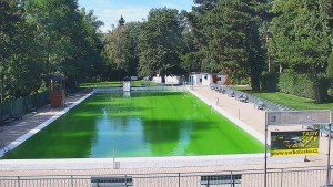 Koupaliště Bystřice pod Hostýnem - Bazén - 16.9.2026 v 12:45 Koupaliště Bystřice pod Hostýnem - Bazén - 16.9.2026 v 12:45
