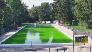 Koupaliště Bystřice pod Hostýnem - Bazén - 16.9.2026 v 13:45 Koupaliště Bystřice pod Hostýnem - Bazén - 16.9.2026 v 13:45
