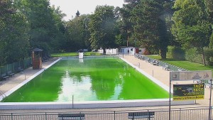 Koupaliště Bystřice pod Hostýnem - Bazén - 16.9.2026 v 14:45 Koupaliště Bystřice pod Hostýnem - Bazén - 16.9.2026 v 14:45