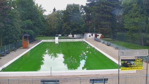 Basen Bystřice pod Hostýnem - Basen - 22.9.2026 v 09:45 Basen Bystřice pod Hostýnem - Basen - 22.9.2026 v 09:45