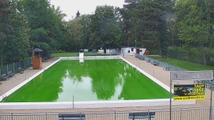 Basen Bystřice pod Hostýnem - Basen - 22.9.2026 v 11:45 Basen Bystřice pod Hostýnem - Basen - 22.9.2026 v 11:45