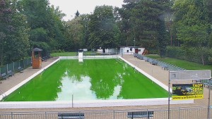 Basen Bystřice pod Hostýnem - Basen - 22.9.2026 v 12:45 Basen Bystřice pod Hostýnem - Basen - 22.9.2026 v 12:45