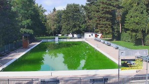Koupaliště Bystřice pod Hostýnem - Bazén - 25.9.2026 v 10:45 Koupaliště Bystřice pod Hostýnem - Bazén - 25.9.2026 v 10:45