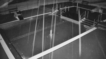 Koupaliště Bystřice pod...