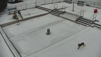 Koupaliště Bystřice pod...