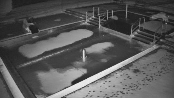 Koupaliště Bystřice pod...