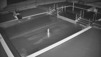 Koupaliště Bystřice pod...