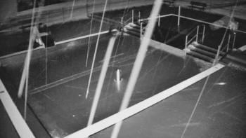 Koupaliště Bystřice pod...