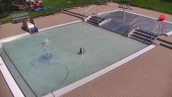 Brouzdaliště