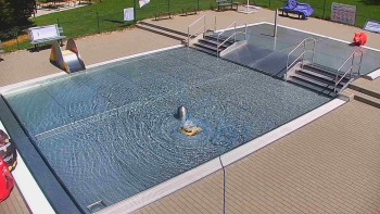 Koupaliště Bystřice pod...