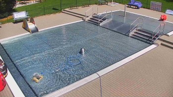 Koupaliště Bystřice pod...