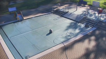 Koupaliště Bystřice pod...