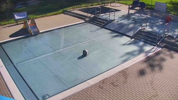 Koupaliště Bystřice pod...