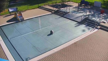 Koupaliště Bystřice pod...