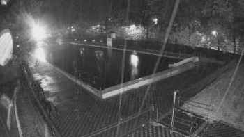 Snímek    3.11.2025 v 03:30