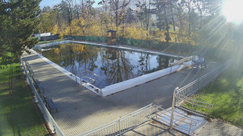 Snímek    5.11.2025 v 13:00