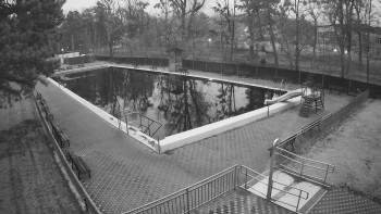 Koupaliště Bystřice pod...