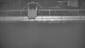 Koupaliště Bystřice pod...