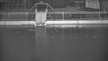 Koupaliště Bystřice pod...