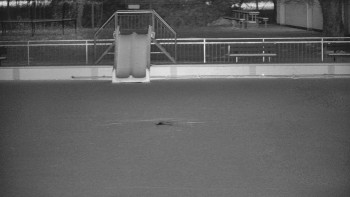 Koupaliště Bystřice pod...