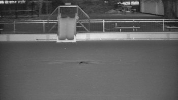 Koupaliště Bystřice pod...