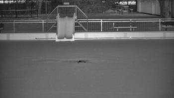 Koupaliště Bystřice pod...