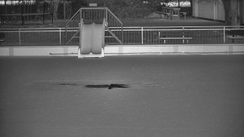 Koupaliště Bystřice pod...