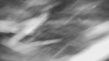 Koupaliště Bystřice pod...