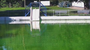 Schwimmbad Bystřice pod Hostýnem - Folie - 16.9.2026 v 09:45 Schwimmbad Bystřice pod Hostýnem - Folie - 16.9.2026 v 09:45