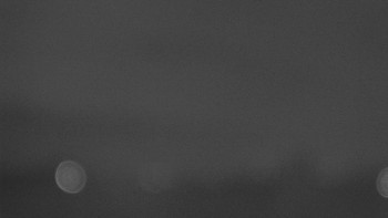 Snímek    31.10.2025 v 20:02