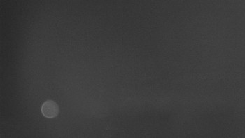 Snímek    2.11.2025 v 05:02