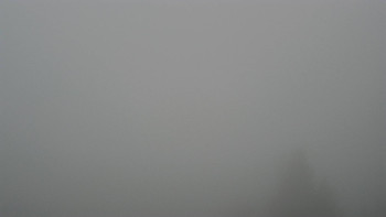 Snímek 14.11.2025 v 06:33