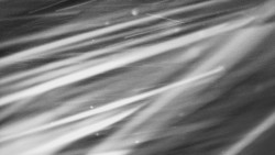 Troják, Maruška - parkoviště