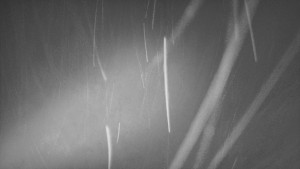 Skiareál Troják - Troják, Maruška - parkoviště - 26.11.2025 v 01:32 Skiareál Troják - Troják, Maruška - parkoviště - 26.11.2025 v 01:32