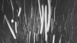 Troják, Maruška - parkoviště