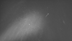 Troják, Maruška - parkoviště