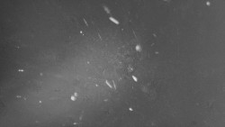 Troják, Maruška - parkoviště