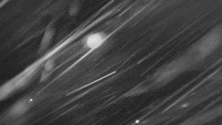 Troják, Maruška - parkoviště