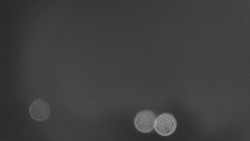 Troják, Maruška - parkoviště