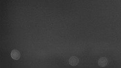 Troják, Maruška - parkoviště