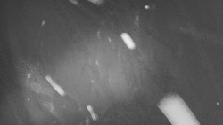 Troják, Maruška - parkoviště