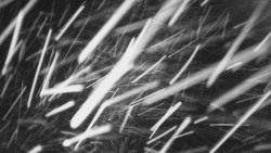 Troják, Maruška - parkoviště