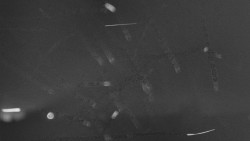 Troják, Maruška - parkoviště