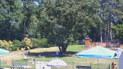 Beach volejbal