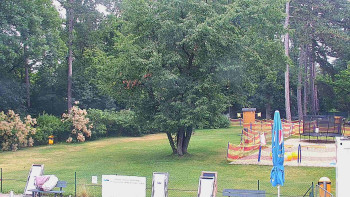Snímek    7.7.2025 v 08:45