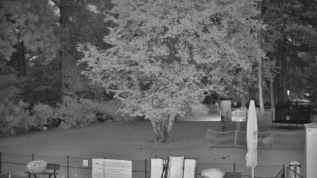 Snímek    14.7.2025 v 21:45