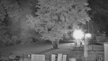 Snímek    14.7.2025 v 23:15
