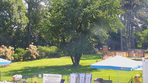 Koupaliště Bystřice pod Hostýnem - Beach volejbal - 15.7.2025 v 10:45