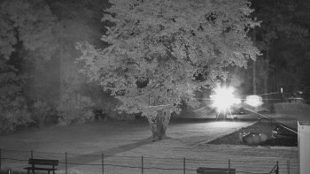 Snímek    13.9.2025 v 05:15
